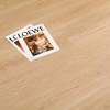 6mm 8mm LVT SPC Flooring Fitness Centers Suitable Plastci Flooring (6013)