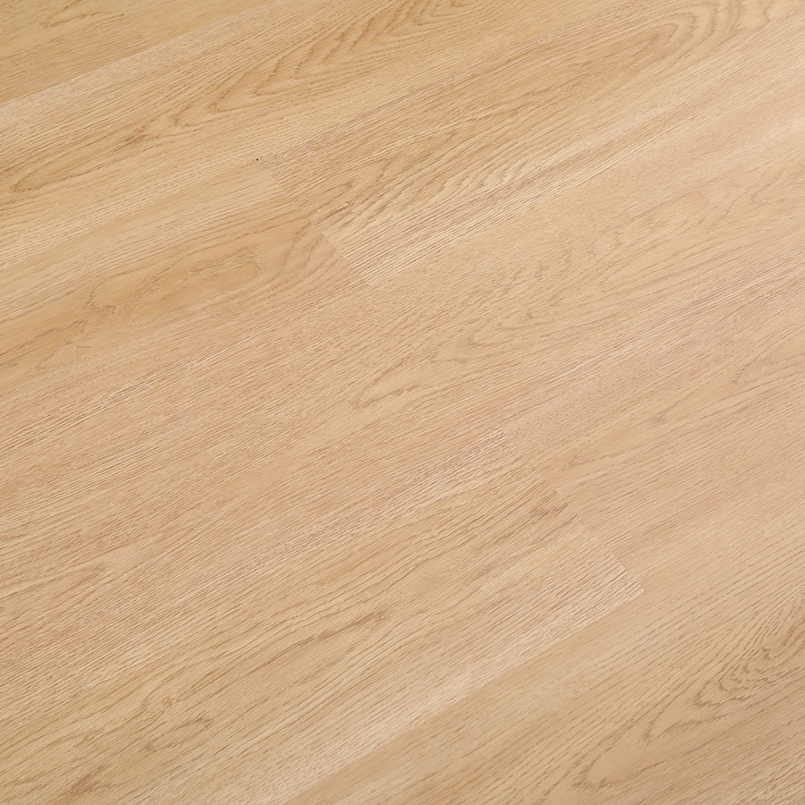 6mm 8mm LVT SPC Flooring Fitness Centers Suitable Plastci Flooring (6013)