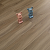Oak Wood Engineered Hardwood SPC Flooring (6020)