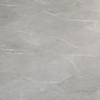 100% Waterproof Stone SPC Flooring 4mm 5mm Vinyl Plank Modern (9010)